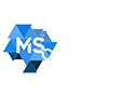 MSConecta